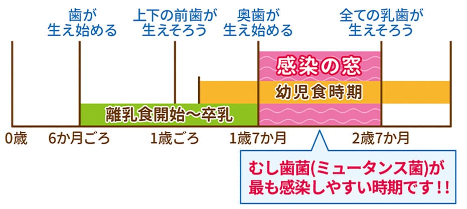 親がむし歯予防や治療を心がける