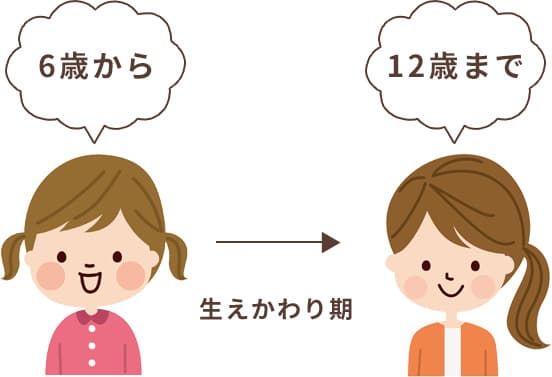 6歳～12歳頃の生えかわり期